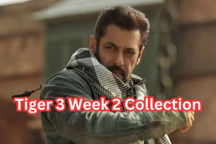 Tiger 3 Week 2 Collection