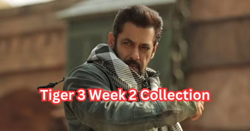 Tiger 3 Week 2 Collection
